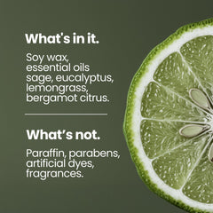 Natur IX energizing aroma blend of bergamot and sage for mood balance.