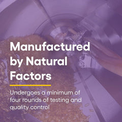Natural Factors CoQ10 softgel capsules for daily use in routine.