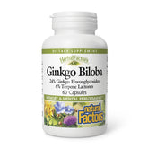 Natural Factors HerbalFactors Ginkgo Biloba bottle supports daily mental clarity and circulation