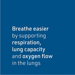 Natural Factors ingredients list with botanicals and enzymes for respiratory support
