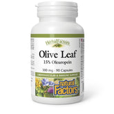 Natural Factors Olive Leaf bottle with 500 mg extract for immune support possibilities