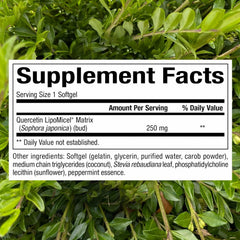 Closeup of Natural Factors Quercetin Lipomicel Matrix softgels emphasizing absorption