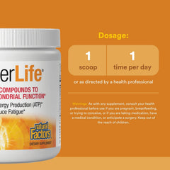 RegenerLife powder scoop ready for measured daily dosing.