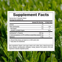 Natural Factors Tranquil Sleep chewable tablets for easy nightly support.