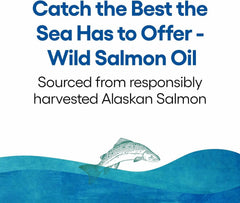 Natural Factors Salmon Oil bottle pour image showing convenient daily dose