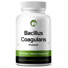 Natural Foundation Bacillus Coagulans probiotic bottle front for gut health support.