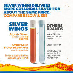 Amber glass bottle of Natural Path Silver Wings 250ppm formula.