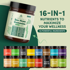 Natural Rems Sea Moss Gummies closeup of gummies for convenient daily use.