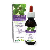 Naturalma Lemon Balm tincture bottle with herbal leaves for daily calm rituals.