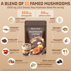 Nature Echo bowl of 11 mushroom types for gut health and antioxidants
