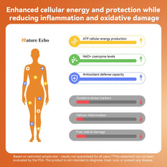 Nature Echo label details closeup — shows ingredients like astaxanthin and green tea extract.