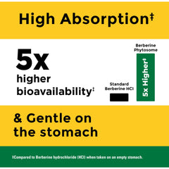 Nature Made Berberine Phytosome pills in hand for portable metabolic support.