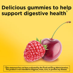 Nature Made Digestive Probiotics Energy B12 Gummies bottle back lists CFU info