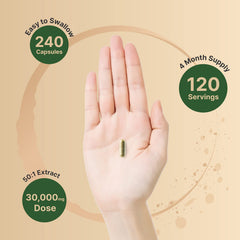 Visual guide showing 50-to-1 extract potency for high concentration NatureBell.
