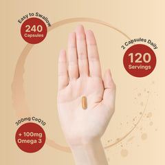 NatureBell CoQ10 bottle packaging signaling premium quality.