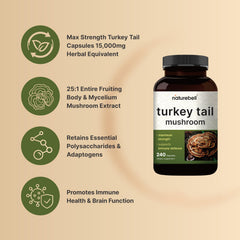 NatureBell Turkey Tail fruiting body and mycelium illustrate full-spectrum formulation