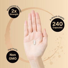 NatureBell Zinc Picolinate 100mg bottle packaging displayed for easy daily use
