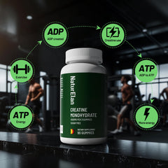 NaturElan Creatine Gummies nutrition label with 4500 mg per serving