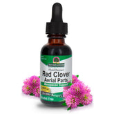 Nature's Answer Red Clover Extract bottle shows an alcohol-free formula for daily wellness.