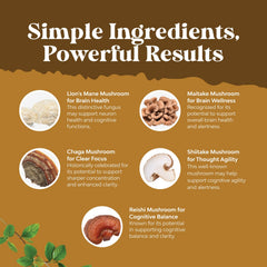 Natures Craft 5-in-1 formulation image suggests a comprehensive brain health boost