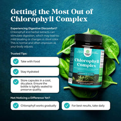 Natures Craft chlorophyll capsules mint leaf, offering refreshing flavor and digestive comfort.