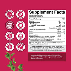 Natures Craft Fertility Gummies packaging front highlighting vegan and non-GMO.