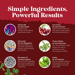 Natures Craft Green Coffee Extract powder bottle underscores versatile daily detox support.