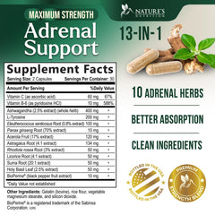 Capsules of Nature's Nutrition Adrenal Cortex Complex for sustained focus and energy.