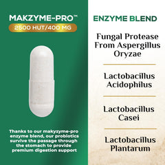 Nature's Nutrition Makzyme blend illustration highlighting digestion support