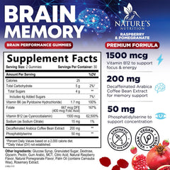 Nature's Nutrition Nootropic Gummies Concentration pack demonstrates convenient brain-boosting support.