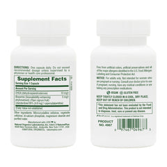 Natures Plus DHEA 10 capsules closeup highlighting vegetarian formula for daily, convenient use.