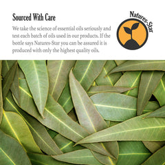 Natures-Star eucalyptus oil for soap making adds invigorating aroma.