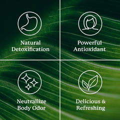 Close-up of Nature's Sunshine chlorophyll stick pack label with eco-friendly design.