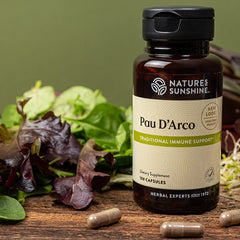 Nature's Sunshine Pau D'Arco capsules close-up – convenient antioxidant intake.