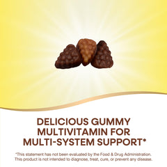 Two Nature's Way Alive gummy bottles signaling vegetarian, gluten-free multivitamin option