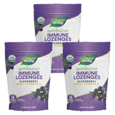 Nature's Way Sambucus immune lozenges pack front for on-the-go immune support.