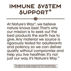 Nature's Way Zinc Natural Berry lozenges spilling from a pack for travel.