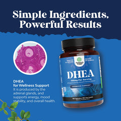 Nature's Craft DHEA taken with meal demonstrates simple daily routine