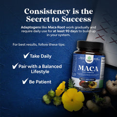Nature's Craft pine bark extract ingredient with antioxidant focus