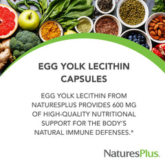 NaturesPlus Egg Yolk Lecithin label, clear ingredient highlights for clean formulation.