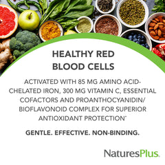 NaturesPlus Hema-Plex Iron bottle label highlighting vegan and gluten-free features