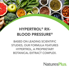 Graphic view of the Mineral Blend in Hypertrol Rx