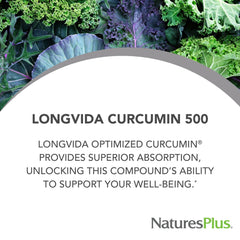 NaturesPlus PRO Longvida Curcumin label close-up shows vegan, non-GMO formulation