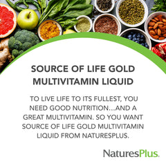 NaturesPlus Source of Life Gold 120+ whole foods close-up emphasizes nutrient variety.