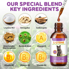 NBTREKTIE Lysine-eye-support-drops help maintain eye moisture and brightness.