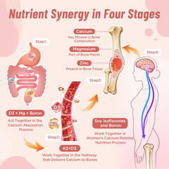 Nepeolithia Calcium Gummies variety flavors display for enjoyable daily vitamin routine.