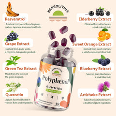 Nepeolithia Polyphenol Gummies in hand highlight convenient daily supplement.