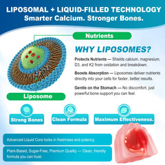 NEVISS absorption technology highlights enhanced nutrient delivery to bones