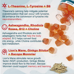 NEVISS Brain Focus gummies front label emphasizing B vitamins for energy.