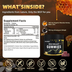 Newrish Shilajit Gummies packaging display ideal for daily routines